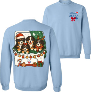 Sweatshirt Light Blue