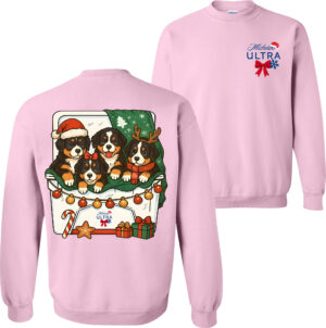 Sweatshirt Light Pink