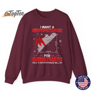 I Want a Hippopotenuse for Christmas Math teacher Sweatshirt 10