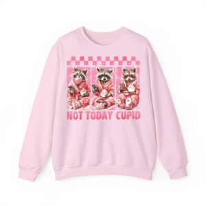 Not Groovy Today Cupid Valentine Racoon Anti Valentines Day Sweatshirt